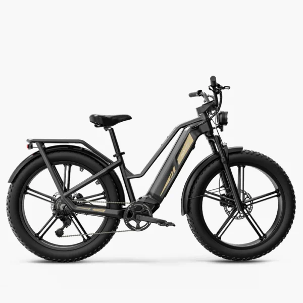 Bicicleta Eléctrica para Aventuras y Carga Pesada - Image 10